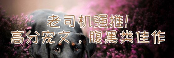 老司機強推！高分寵文腹黑類佳作